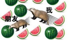 吃大瓜传媒网红