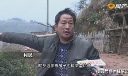 牛爱芳邻居爆料视频,牛爱芳事件视频曝光，真相令人震惊